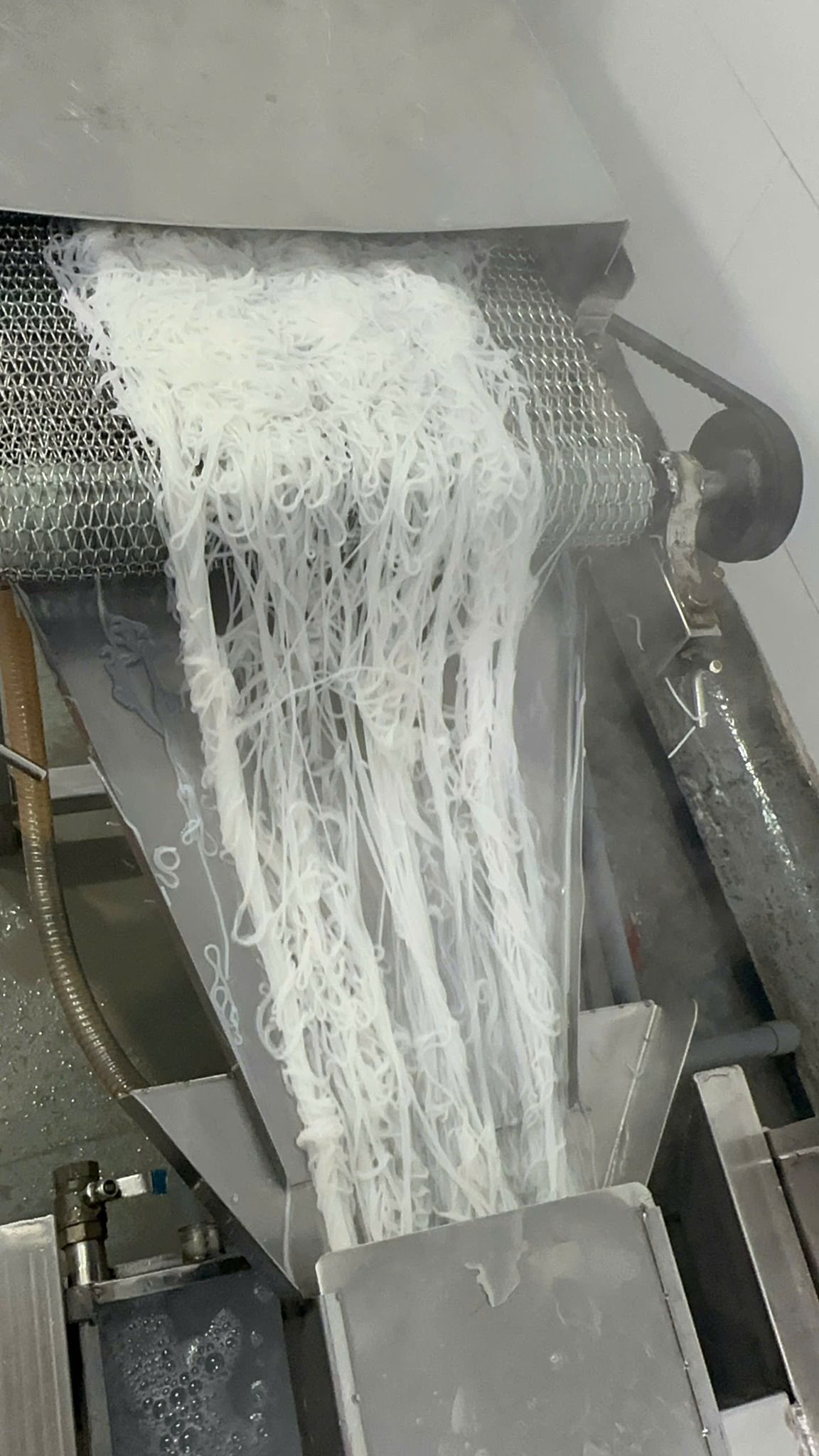 594511378_1174001548213288_5337729296385633341_n