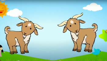 Phân biệt cao hơn - Thấp hơn - GV: Hoàng Phượng