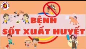 Phòng bệnh sốt xuất huyết