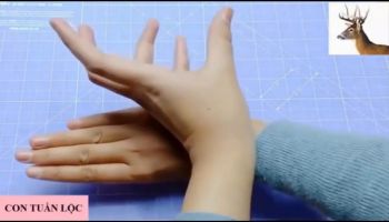 Trò chơi:  Hướng dẫn trò chơi tạo hình chiếc bóng từ đôi bàn tay - GV: Lại Lan Anh